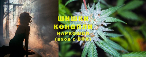 каннабис Арсеньев